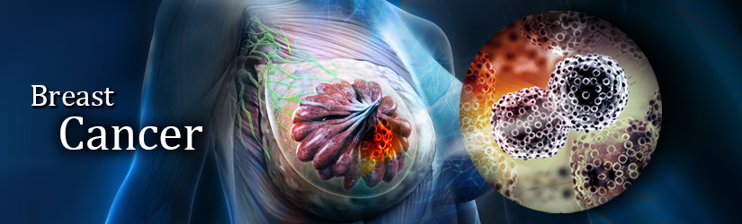 Breast Cancer Tumor Markers | GeneTex